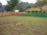 20051004-2.JPG
