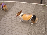 20060326-3.JPG