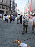 20060617-7.JPG