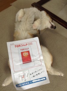 やる気スイッチON！